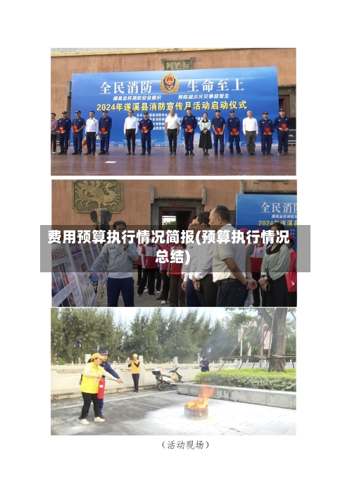 费用预算执行情况简报(预算执行情况总结)-第2张图片