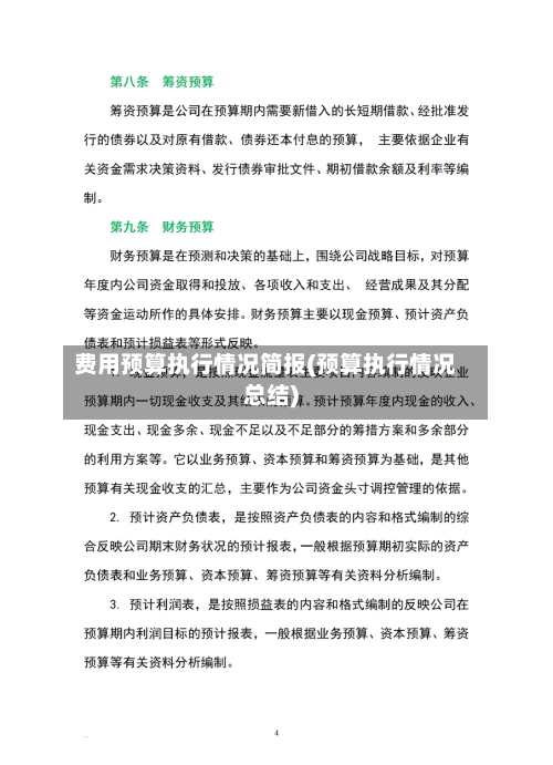 费用预算执行情况简报(预算执行情况总结)