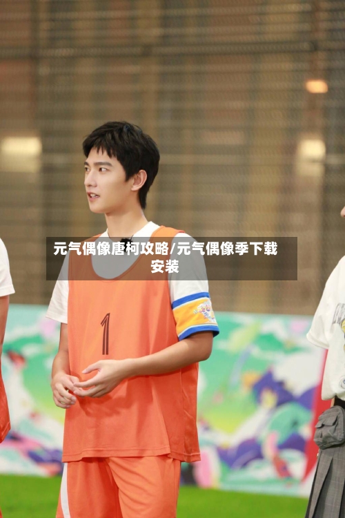 元气偶像唐柯攻略/元气偶像季下载安装