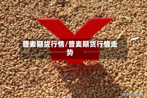 普麦期货行情/普麦期货行情走势-第3张图片