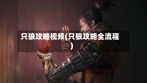 只狼攻略视频(只狼攻略全流程)-第2张图片