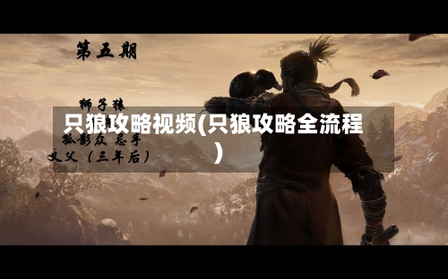 只狼攻略视频(只狼攻略全流程)
