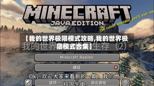 【我的世界极限模式攻略,我的世界极限模式合集】
