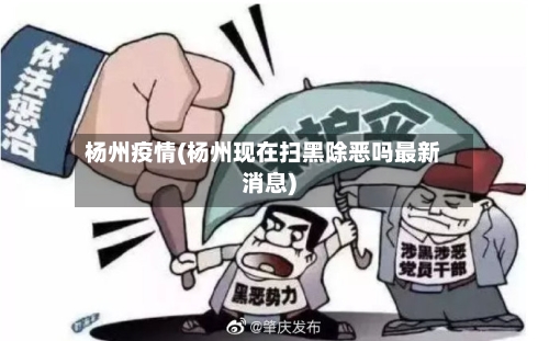 杨州疫情(杨州现在扫黑除恶吗最新消息)-第3张图片