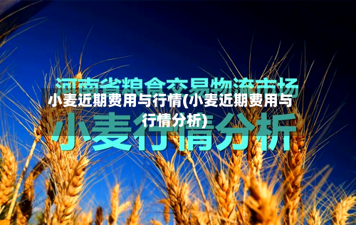 小麦近期费用与行情(小麦近期费用与行情分析)