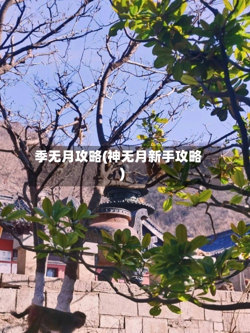 季无月攻略(神无月新手攻略)
