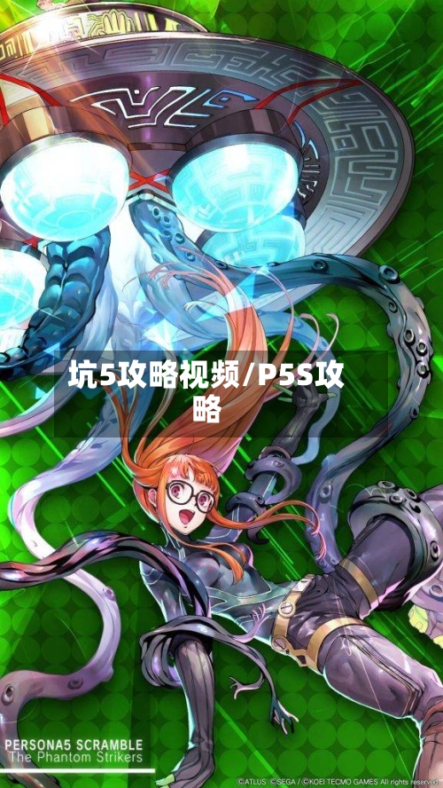 坑5攻略视频/P5S攻略-第2张图片