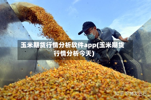 玉米期货行情分析软件app(玉米期货行情分析今天)