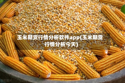 玉米期货行情分析软件app(玉米期货行情分析今天)-第2张图片