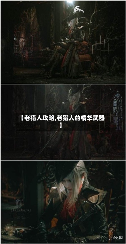 【老猎人攻略,老猎人的精华武器】