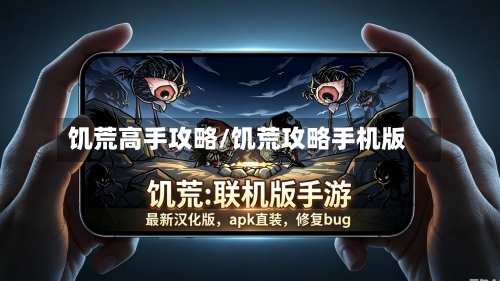 饥荒高手攻略/饥荒攻略手机版-第2张图片