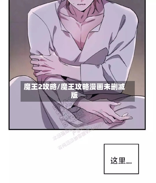 魔王2攻略/魔王攻略漫画未删减版