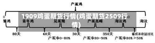 1909鸡蛋期货行情(鸡蛋期货2509行情)-第3张图片