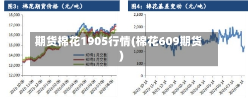 期货棉花1905行情(棉花609期货)-第2张图片