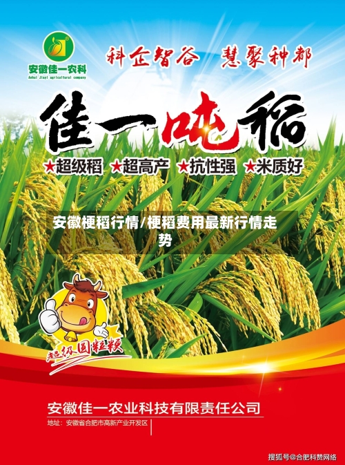 安徽梗稻行情/梗稻费用最新行情走势