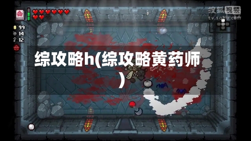 综攻略h(综攻略黄药师)-第2张图片