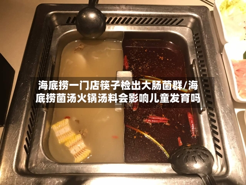 海底捞一门店筷子检出大肠菌群/海底捞菌汤火锅汤料会影响儿童发育吗-第3张图片