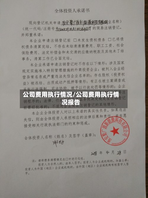 公司费用执行情况/公司费用执行情况报告