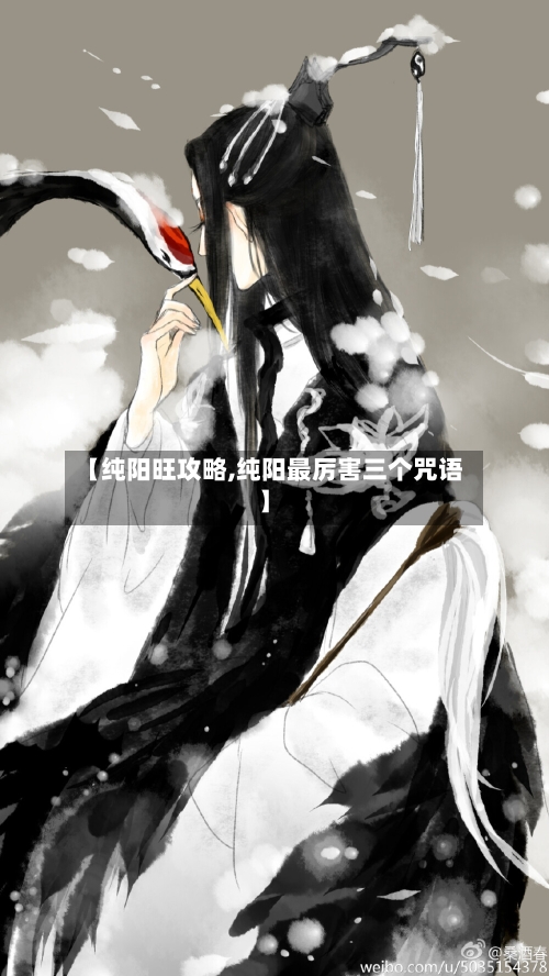 【纯阳旺攻略,纯阳最厉害三个咒语】