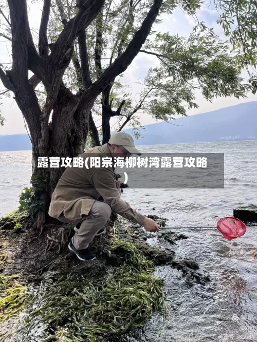 露营攻略(阳宗海柳树湾露营攻略)