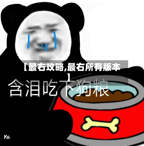 【最右攻略,最右所有版本】-第2张图片