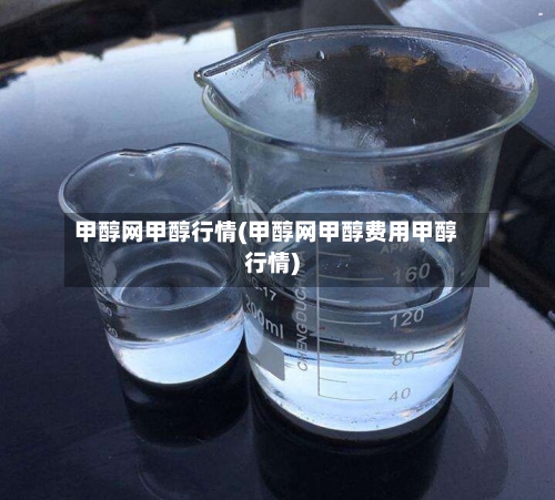 甲醇网甲醇行情(甲醇网甲醇费用甲醇行情)
