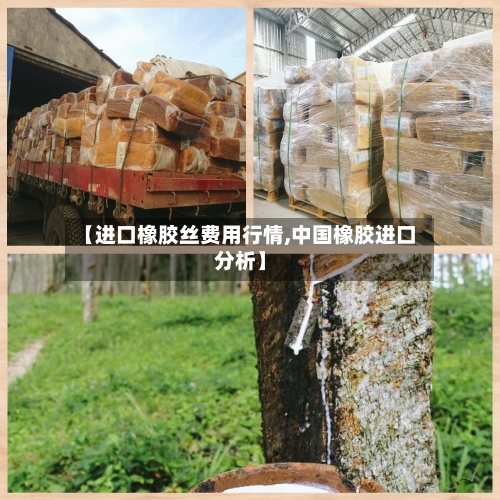 【进口橡胶丝费用行情,中国橡胶进口分析】