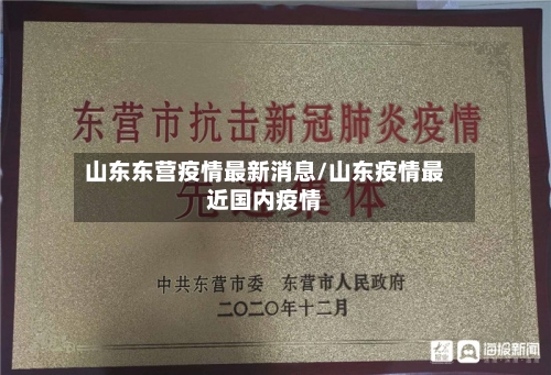 山东东营疫情最新消息/山东疫情最近国内疫情-第2张图片