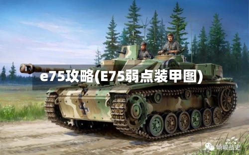 e75攻略(E75弱点装甲图)