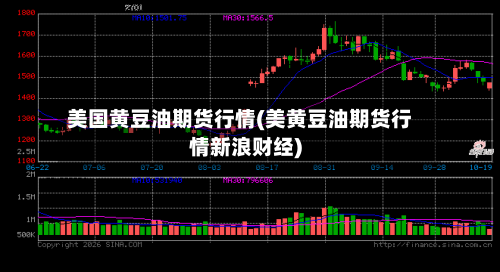 美国黄豆油期货行情(美黄豆油期货行情新浪财经)-第2张图片