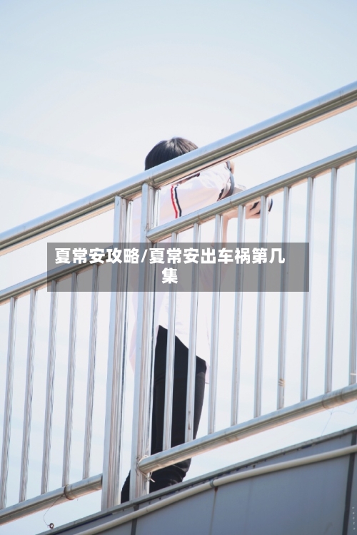 夏常安攻略/夏常安出车祸第几集