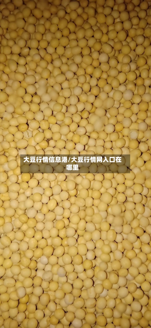 大豆行情信息港/大豆行情网入口在哪里-第3张图片