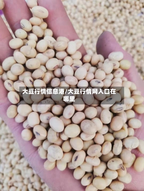 大豆行情信息港/大豆行情网入口在哪里
