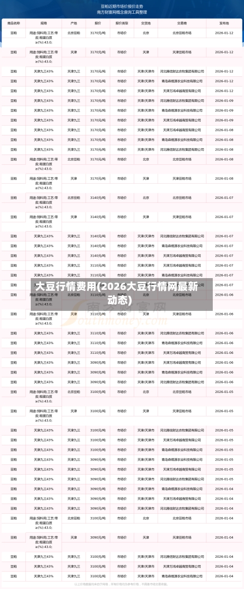 大豆行情费用(2026大豆行情网最新动态)