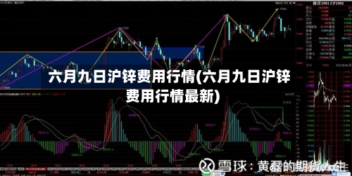 六月九日沪锌费用行情(六月九日沪锌费用行情最新)-第2张图片