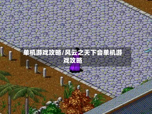 单机游戏攻略/风云之天下会单机游戏攻略-第2张图片