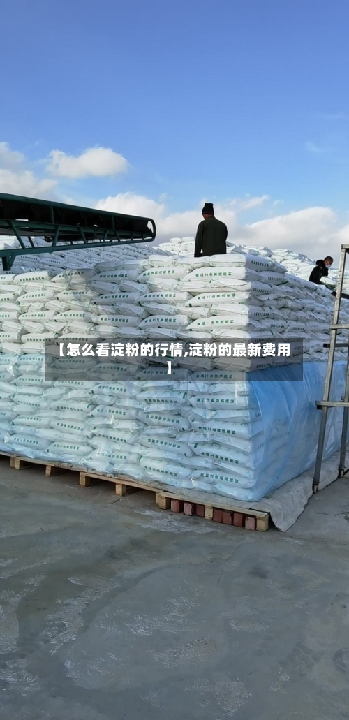 【怎么看淀粉的行情,淀粉的最新费用】