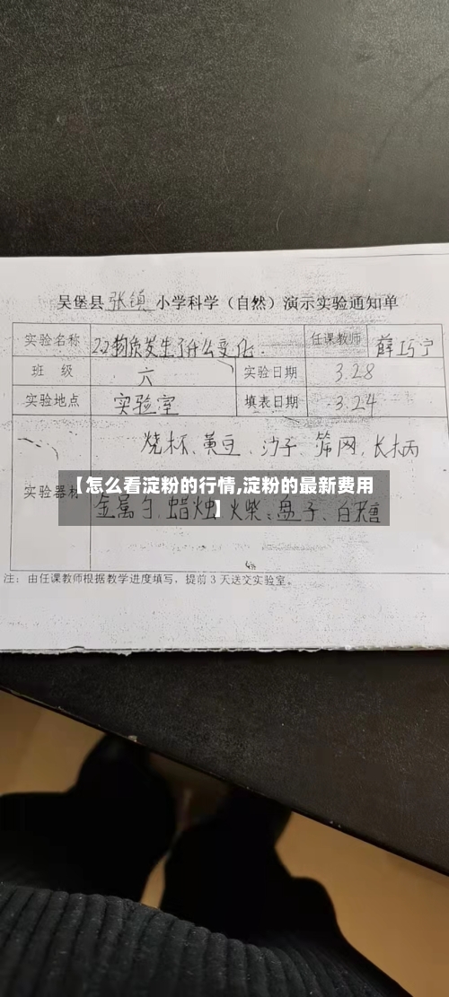 【怎么看淀粉的行情,淀粉的最新费用】-第2张图片