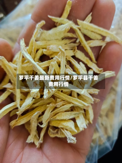 罗平干姜最新费用行情/罗平县干姜费用行情