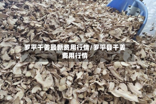 罗平干姜最新费用行情/罗平县干姜费用行情-第3张图片