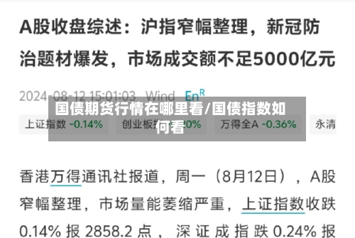国债期货行情在哪里看/国债指数如何看
