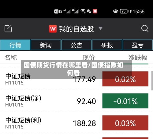 国债期货行情在哪里看/国债指数如何看-第3张图片