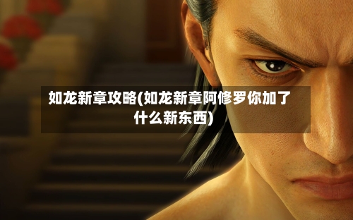 如龙新章攻略(如龙新章阿修罗你加了什么新东西)-第2张图片