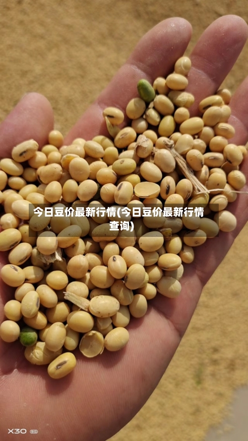 今日豆价最新行情(今日豆价最新行情查询)