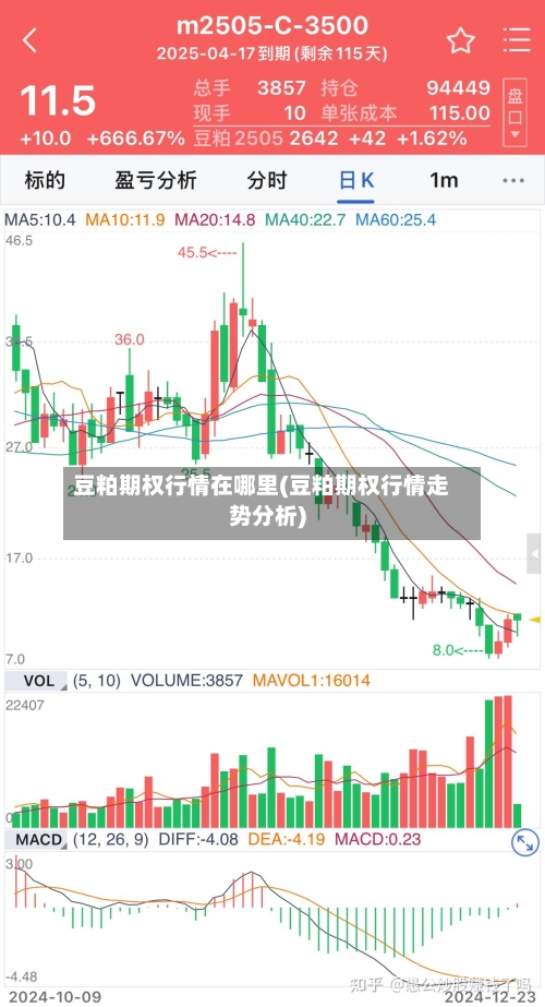 豆粕期权行情在哪里(豆粕期权行情走势分析)-第2张图片