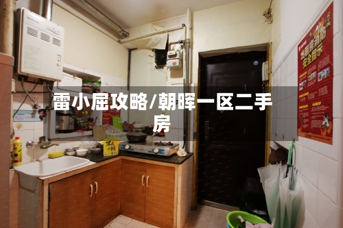 雷小屈攻略/朝晖一区二手房