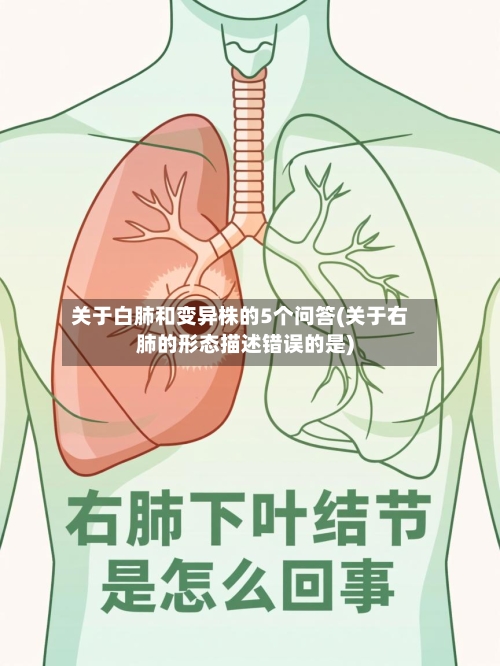 关于白肺和变异株的5个问答(关于右肺的形态描述错误的是)