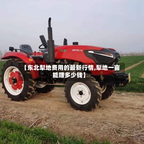 【东北犁地费用的最新行情,犁地一亩能赚多少钱】-第3张图片