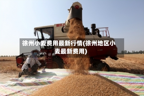徐州小麦费用最新行情(徐州地区小麦最新费用)-第2张图片