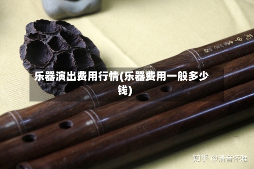 乐器演出费用行情(乐器费用一般多少钱)
